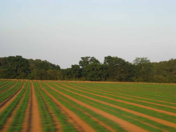 bainbridge-to-marietta-2008